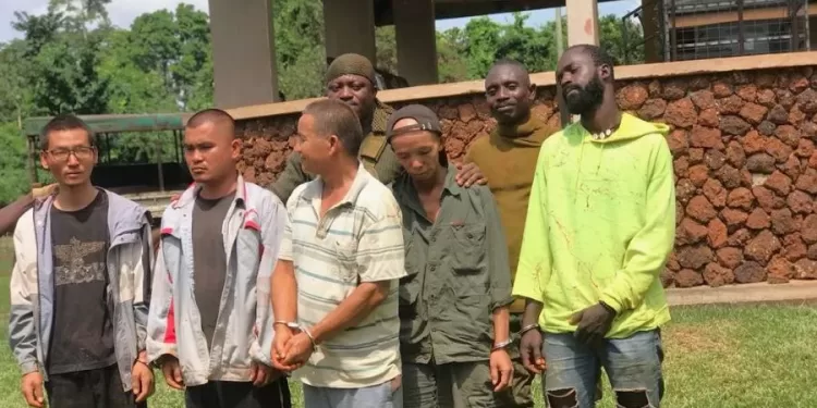 Magistrate orders Prosecutor to produce evidence of death, cremation of illegal Chinese mining suspects