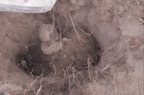 One of the desecrated graves