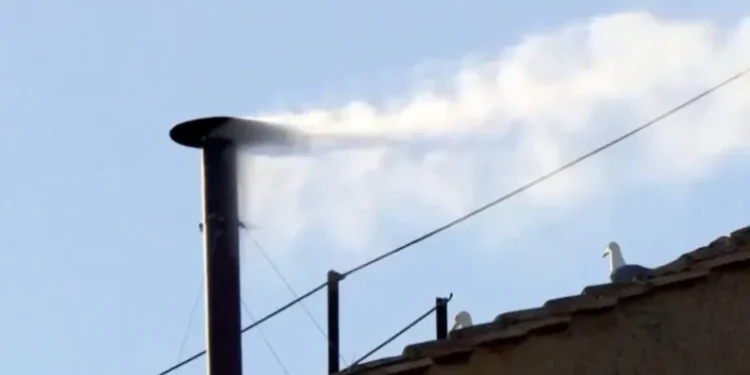 White smoke emerges as a new pope is elected