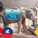 Elephant in the room: Why Ghana missed the June deadline for 5G rollout