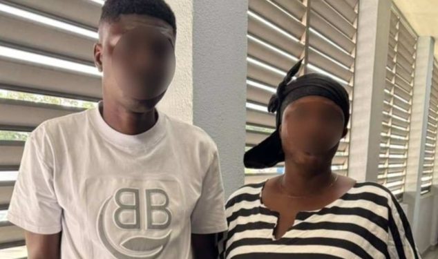 2 arrested over alleged threats to kill Mahama, behead Lordina