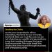 After slavery recognition, Africa must break economic chains for real freedom